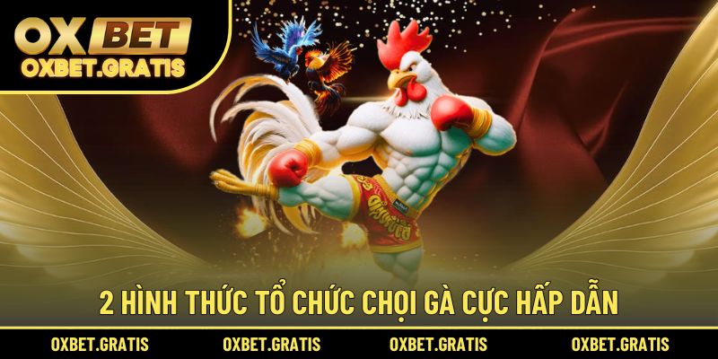 2 hình thức tổ chức chọi gà cực hấp dẫn