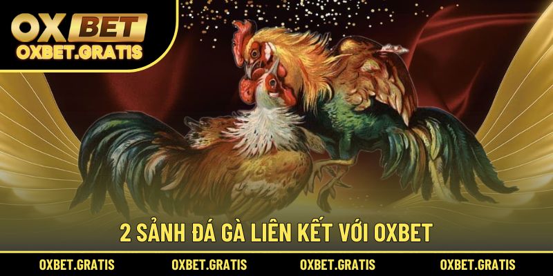 2 sảnh đá gà liên kết với OXBET