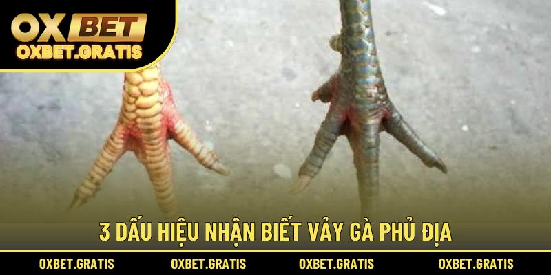 3 dấu hiệu nhận biết vảy gà Phủ Địa