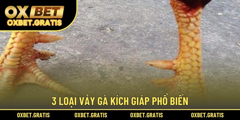3 loại vảy gà Kích Giáp phổ biến