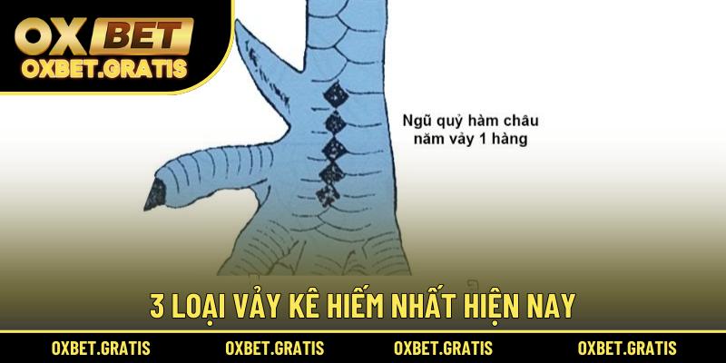 3 loại vảy kê hiếm nhất hiện nay