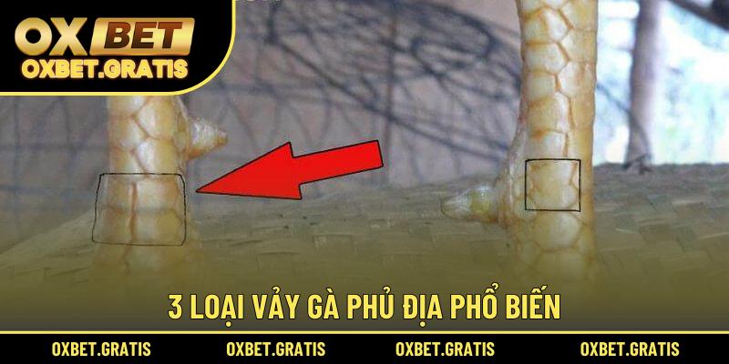 3 loại vảy gà Phủ Địa phổ biến