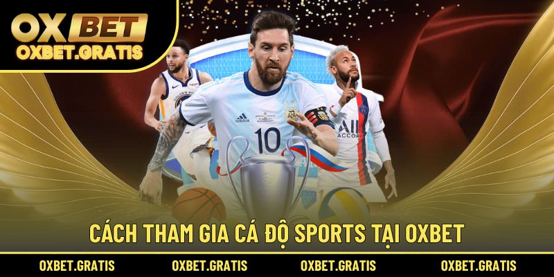 Cách tham gia cá độ sports tại OXBET