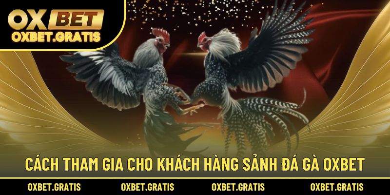 Cách tham gia cho khách hàng sảnh đá gà OXBET