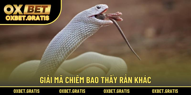 Giải mã chiêm bao thấy rắn gặp khó khăn