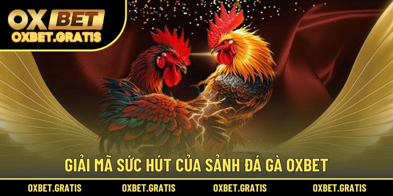 Giải mã sức hút của sảnh đá gà OXBET