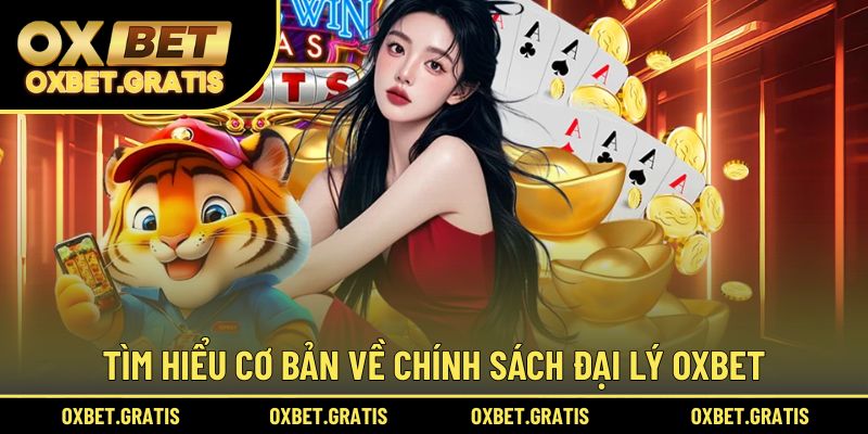 Tìm hiểu cơ bản về chính sách đại lý OXBET hiện tại