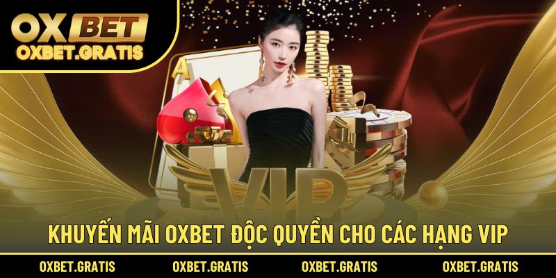 Khuyến mãi OXBET độc quyền cho các hạng VIP