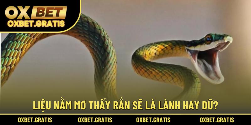 Liệu nằm mơ thấy rắn liệu là lành hay dữ?