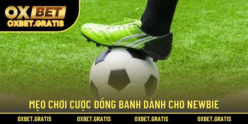 Mẹo chơi cược đồng banh dành cho newbie