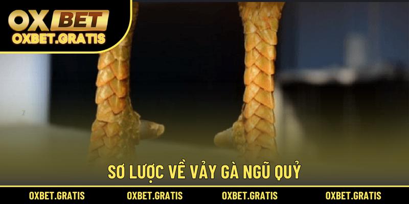 Sơ lược về vảy gà Ngũ Quỷ
