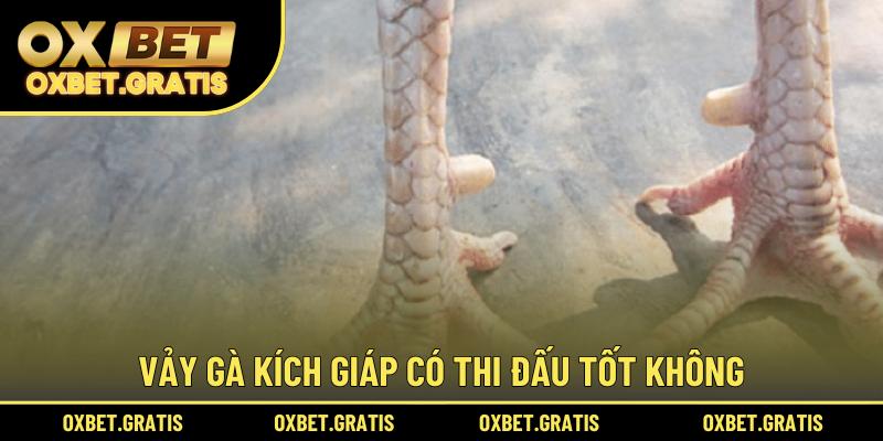 Sự khác biệt của vảy gà Ngũ Quỷ với loại vảy khác
