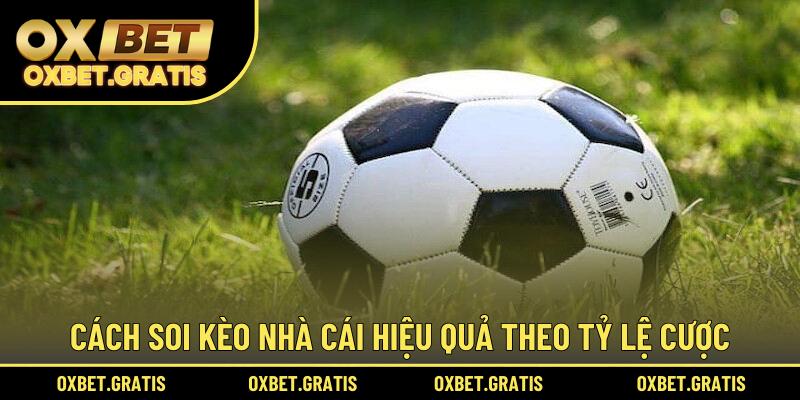 Cách soi kèo nhà cái hiệu quả theo tỷ lệ cược