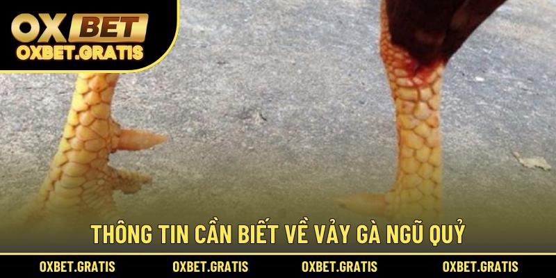 Thông tin cần biết về vảy gà Ngũ Quỷ