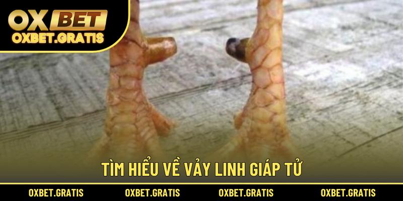 Tìm hiểu về vảy Linh Giáp Tử