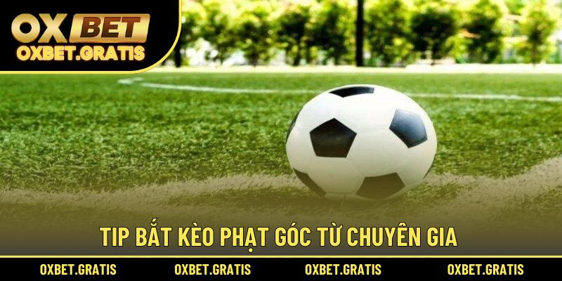 Tip bắt kèo phạt góc từ chuyên gia