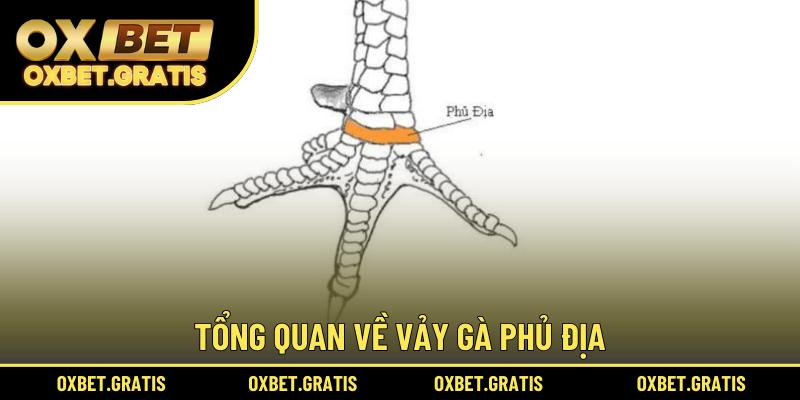 Tổng quan về vảy phủ địa