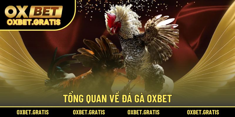 Tổng quan về đá gà OXBET