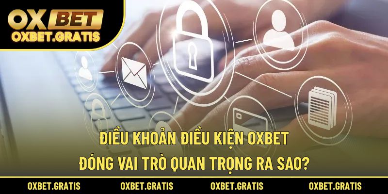 Điều khoản điều kiện OXBET đóng vai trò quan trọng ra sao?