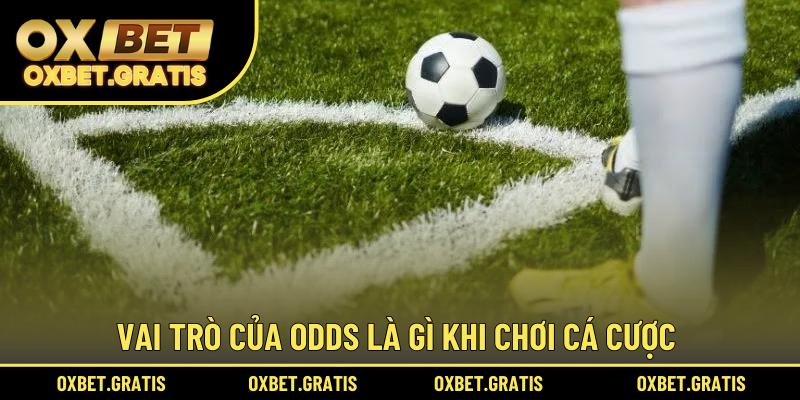 Vai trò của Odds là gì khi chơi cá cược