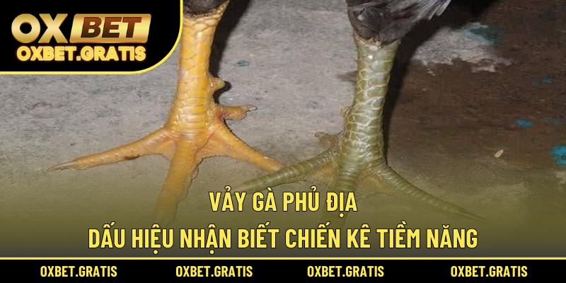 vảy phủ địa