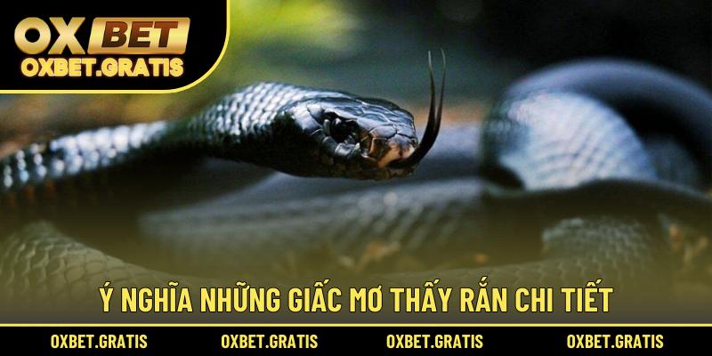 Ý nghĩa những giấc mơ thấy rắn chi tiết