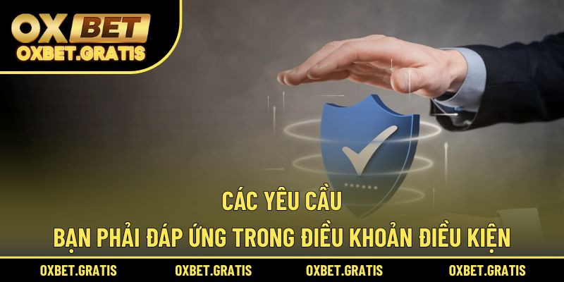Các yêu cầu bạn phải đáp ứng trong điều khoản điều kiện